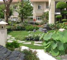 NĂM BƯỚC CĂN BẢN  ĐỂ TRỒNG VÀ CHĂM SÓC CÂY CẢNH VỚI CHẾ PHẨM SINH HỌC TSBIO