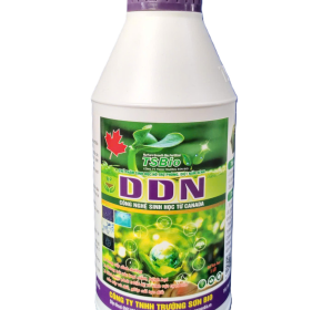 DIỆT NẤM - DDN-1lit