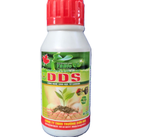 DIỆT SÂU - DDS