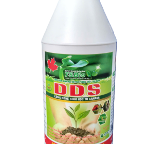 DIỆT SÂU - DDS-1lit