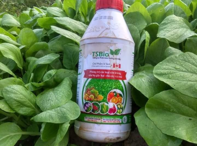 Dịch Tư Vấn chắm Sóc Cây Trồng