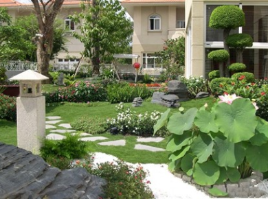 NĂM BƯỚC CĂN BẢN  ĐỂ TRỒNG VÀ CHĂM SÓC CÂY CẢNH VỚI CHẾ PHẨM SINH HỌC TSBIO