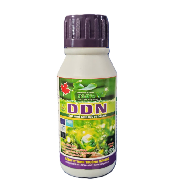 DIỆT NẤM - DDN