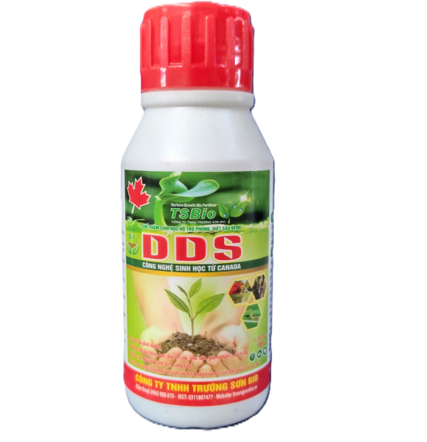 DIỆT SÂU - DDS