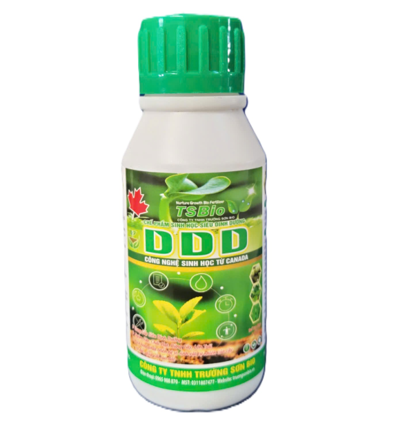 DINH DƯỠNG: DDD
