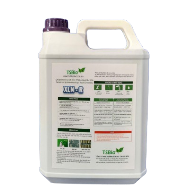 XLN-R XỬ LÝ NƯỚC NUÔI THỦY SẢN