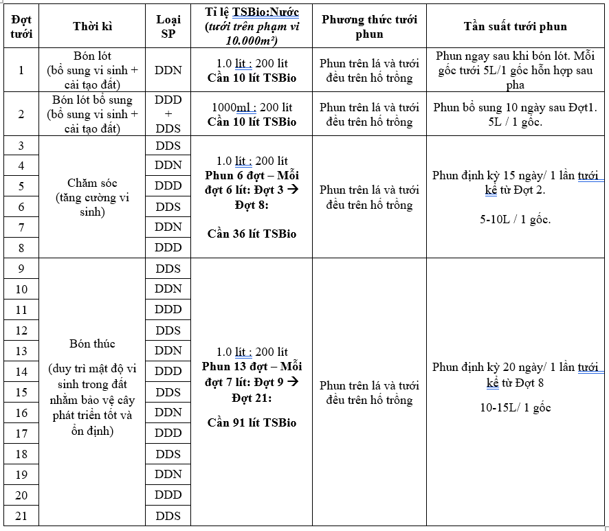 Tổng cộng TSBio sử dụng cho Sầu riêng tương đương 147 lít /120 gốc /10.000m2/ 1 năm (năm Thứ 1 & Thứ 2).